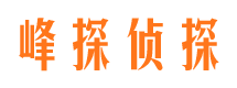 江阳侦探公司